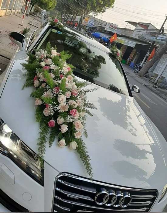 tent house in madhu vihar I.P Extension